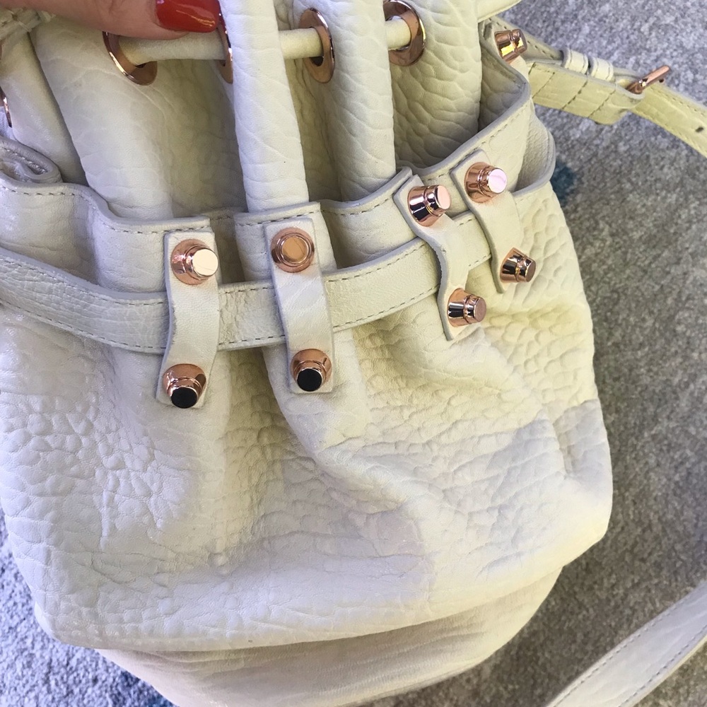 Alexander Wang Diego